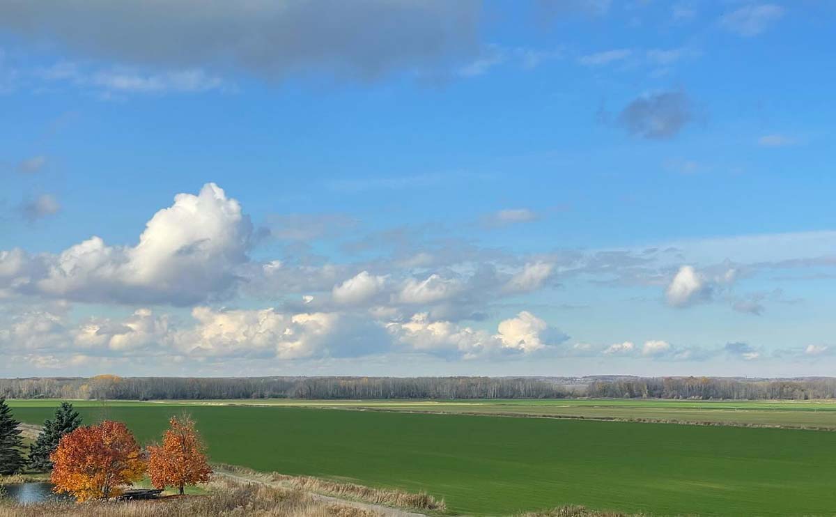 Best Sod Supplier in Ontario