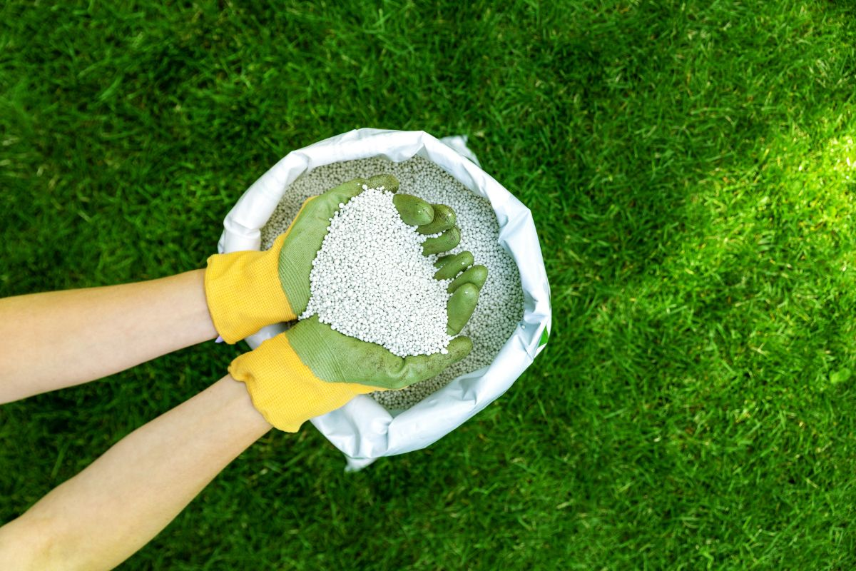 Fertilizer