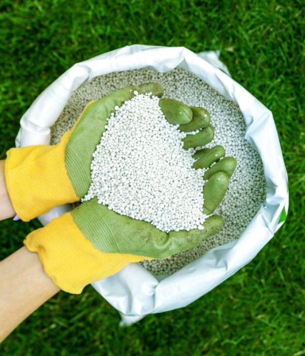 A person wearing yellow gloves holding a bag of white fertilizer pellets designed for lawn care.