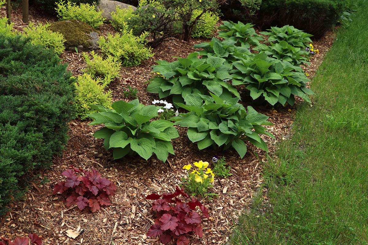 Guide to Easy Garden Maintenance