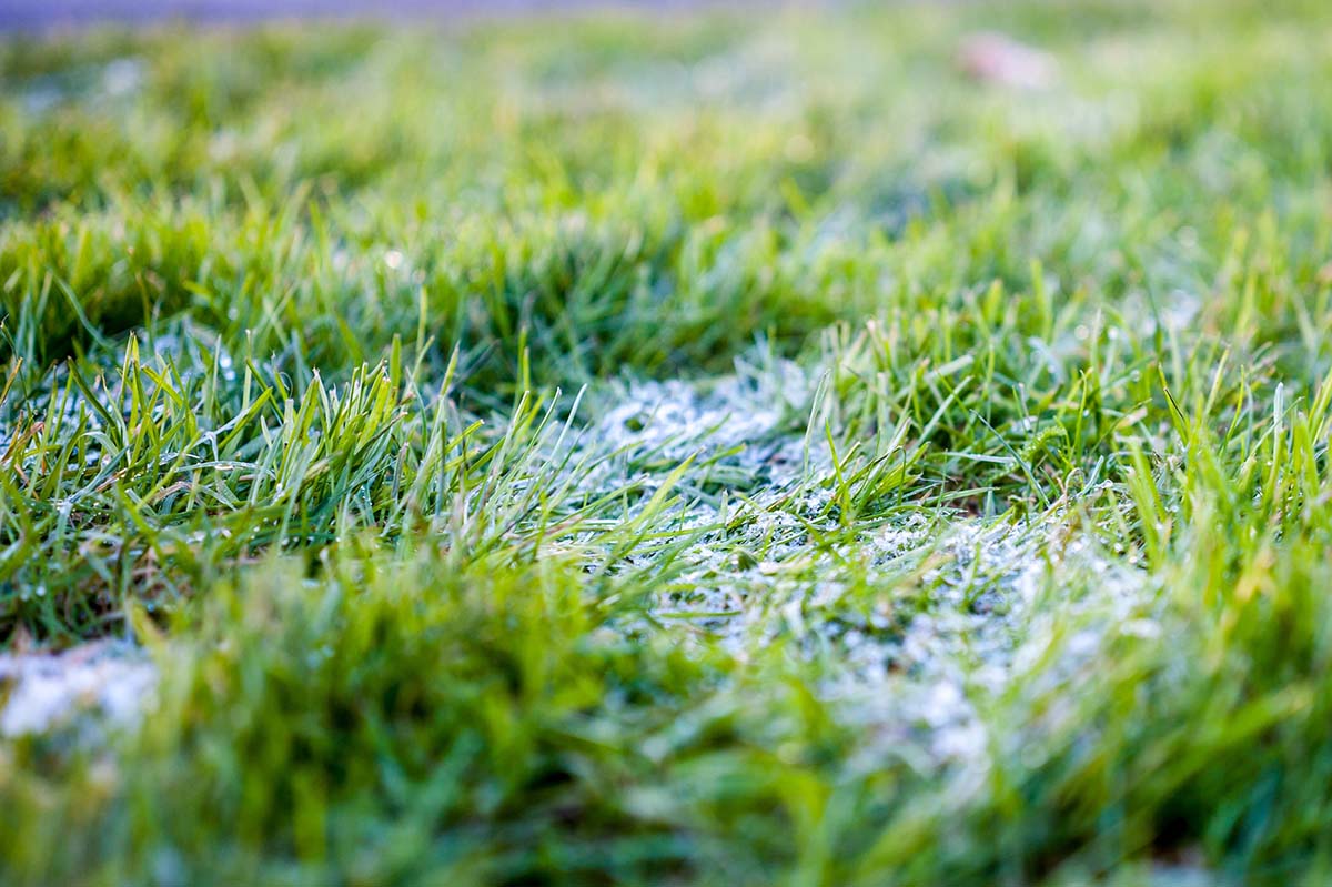 A sprinkle of snow on the grass at the start of winter
