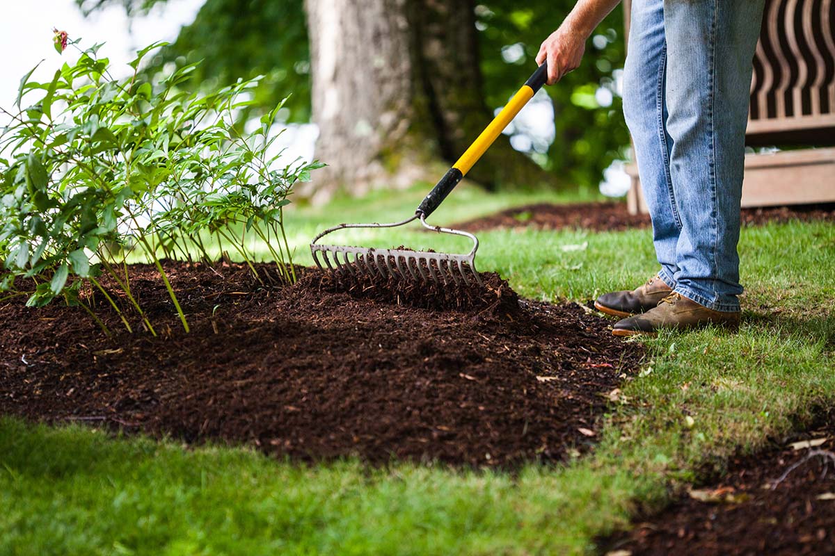 Mulching Techniques