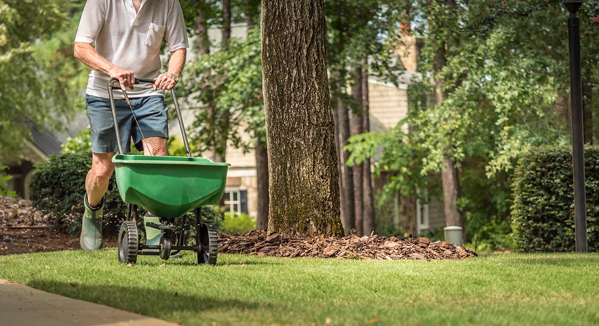 Fertilizing Sod in Autumn