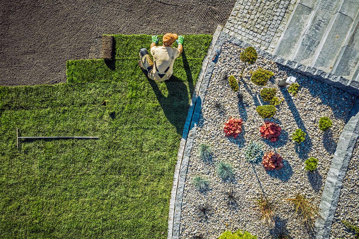 Best Laid Sod