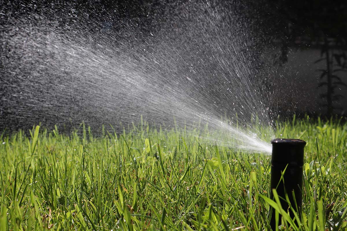 Ensuring Sod Survival: Essential Measures to Protect Against Drought
