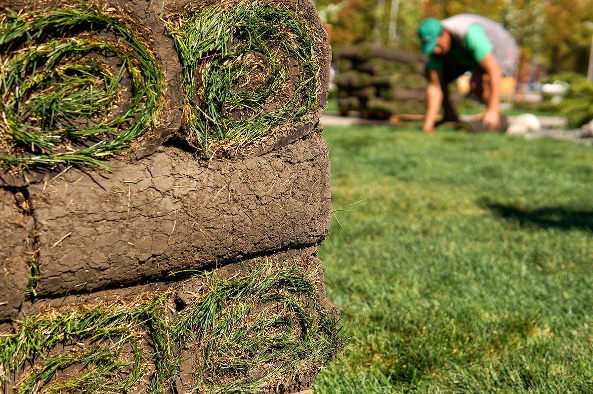 Why You Shouldn't Go Artificial Turf