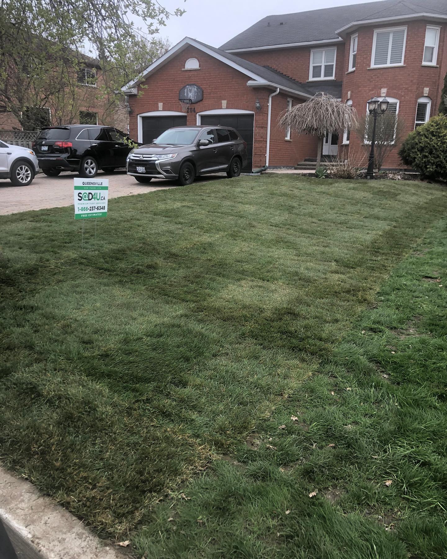Benefits of Sod Installation for Homeowners