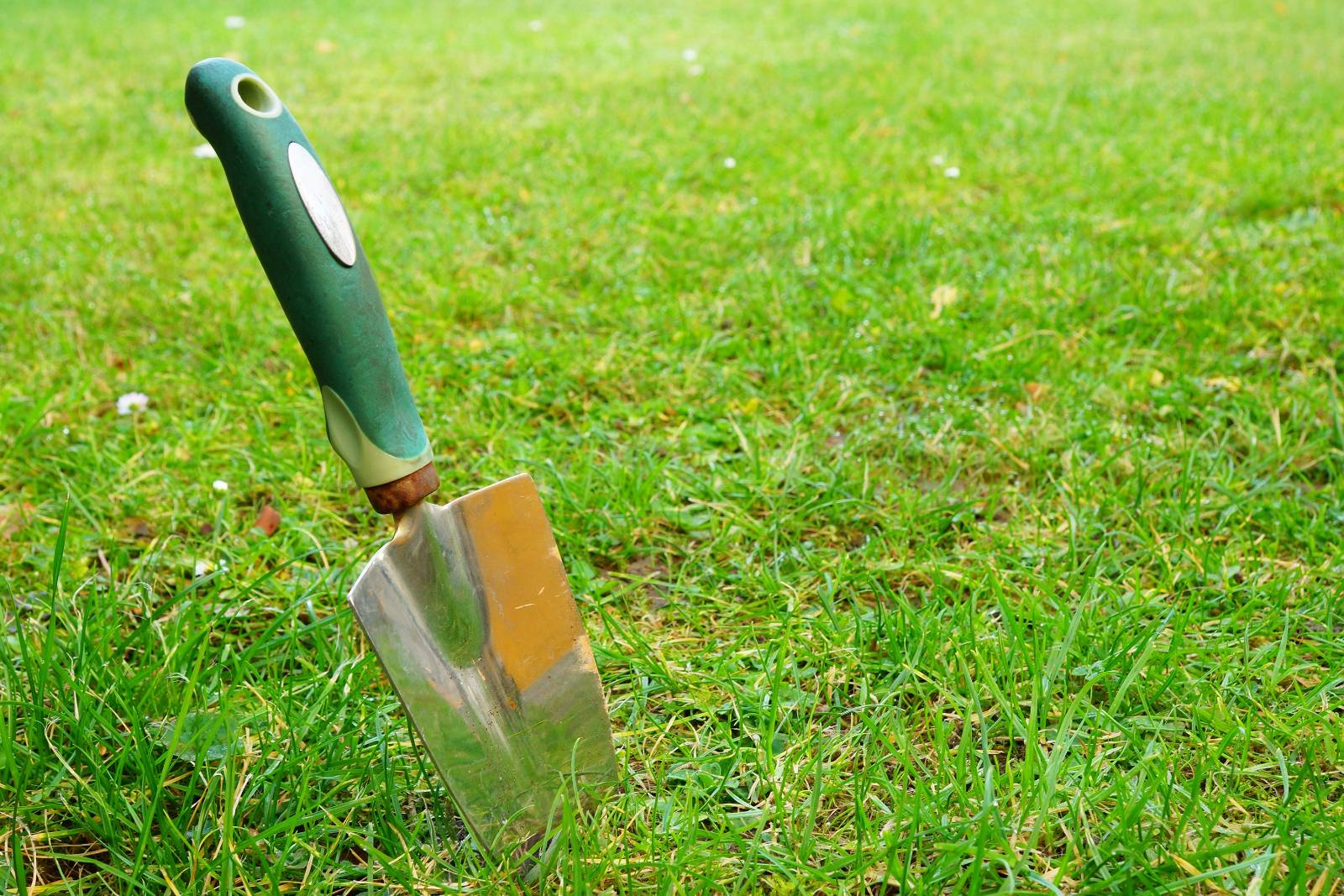 How and When to Fertilize Lawn in Spring in Ontario