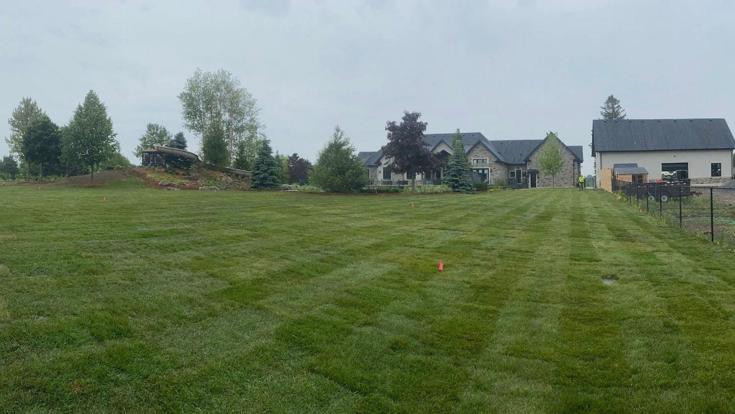 Sod Installation Cost 2025