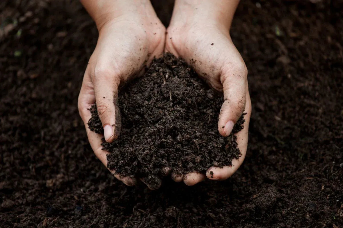Soil