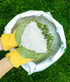 A person wearing yellow gloves holding a bag of white fertilizer pellets designed for lawn care.